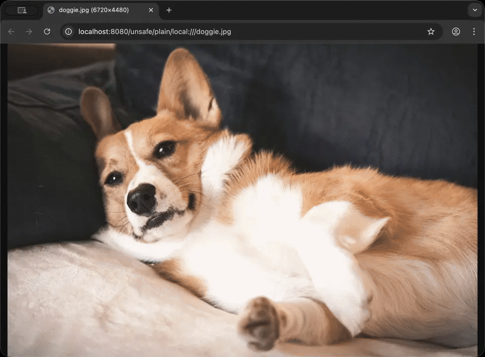 imgproxy resizing and converting images on the fly