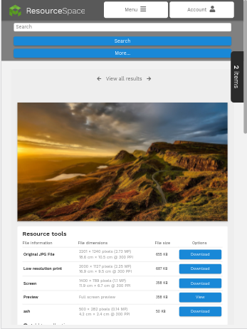 ResourceSpace resource view: metadata, previews and downloads