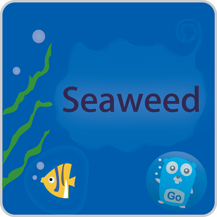 SeaweedFS S3 Origin Storage logo