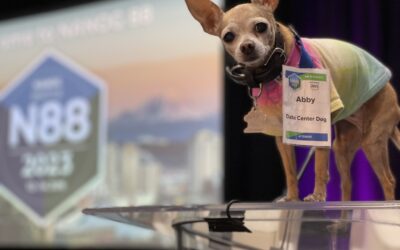 Making Waves at NANOG 88: A Report from NetActuate’s Kate Gerry and Data Center Dog